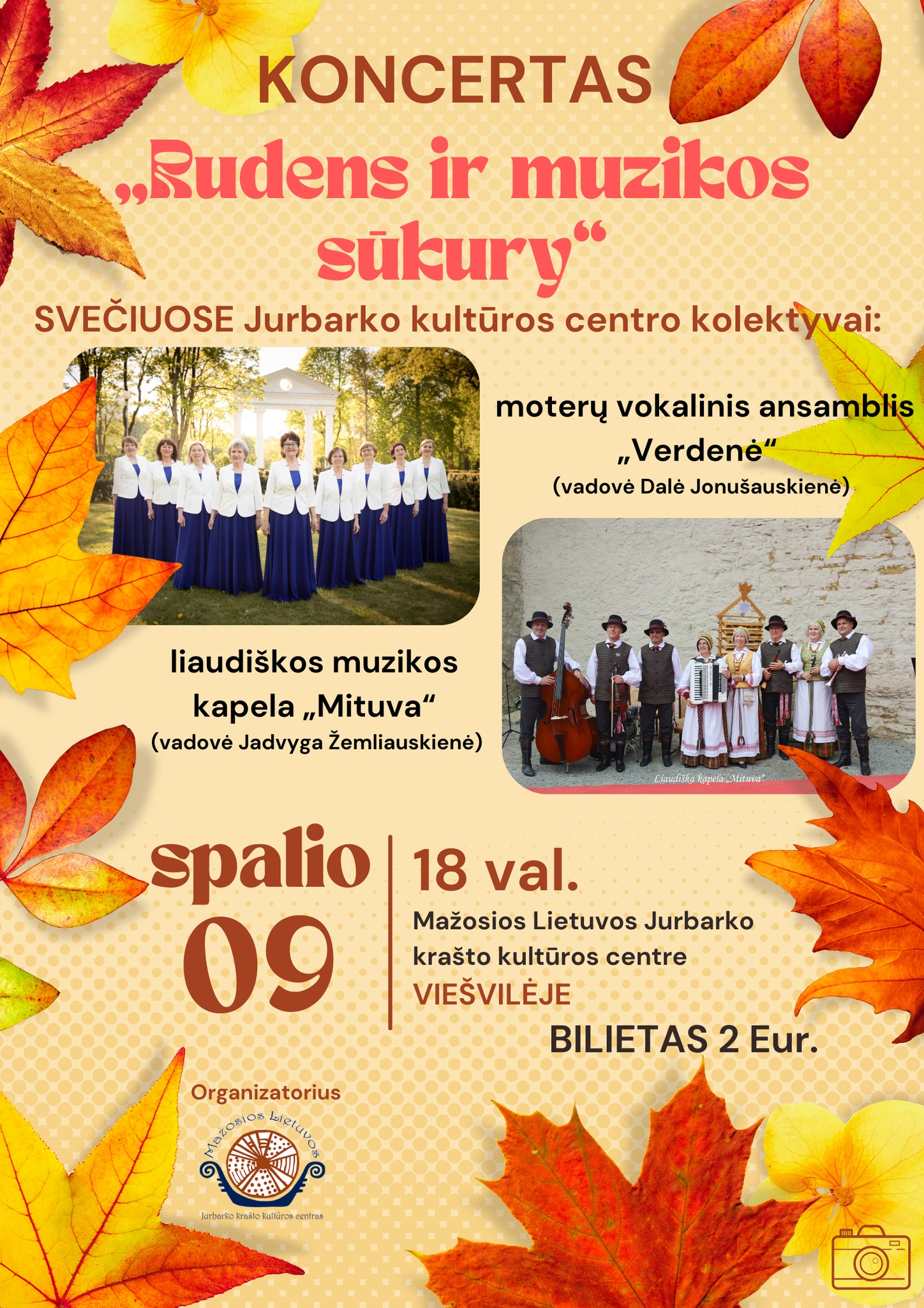 koncertas viešvilė
